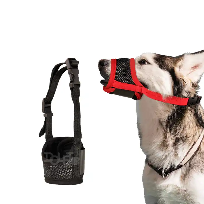 Custom Dog Muzzle
